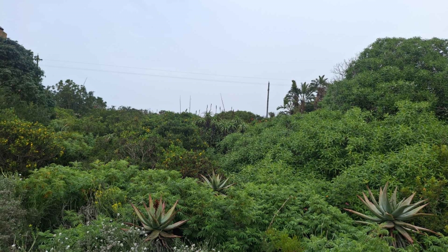 0 Bedroom Property for Sale in Vleesbaai Western Cape
